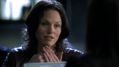 CSI-1113-SC-511.jpg