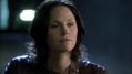 CSI-1113-SC-513.jpg