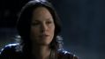 CSI-1113-SC-514.jpg