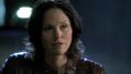 CSI-1113-SC-519.jpg