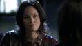 CSI-1113-SC-520.jpg