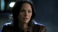 CSI-1113-SC-523.jpg