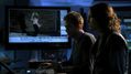 CSI-1114-SC-342.jpg