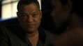 CSI-1114-SC-412.jpg