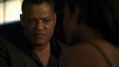 CSI-1114-SC-415.jpg