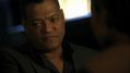 CSI-1114-SC-416.jpg
