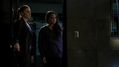 CSI-1114-SC-419.jpg