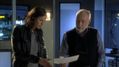 CSI-1115-SC-394.jpg