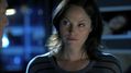 CSI-1116-SC-103.jpg
