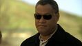 CSI-1116-SC-179.jpg