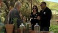 CSI-1116-SC-180.jpg
