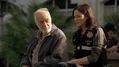 CSI-1116-SC-198.jpg