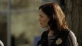 CSI-1116-SC-202.jpg