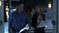 CSI-1116-SC-209.jpg