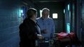 CSI-1116-SC-314.jpg