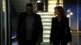 CSI-1117-SC-395.jpg
