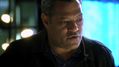 CSI-1120-SC-286.jpg