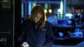 CSI-1120-SC-532.jpg